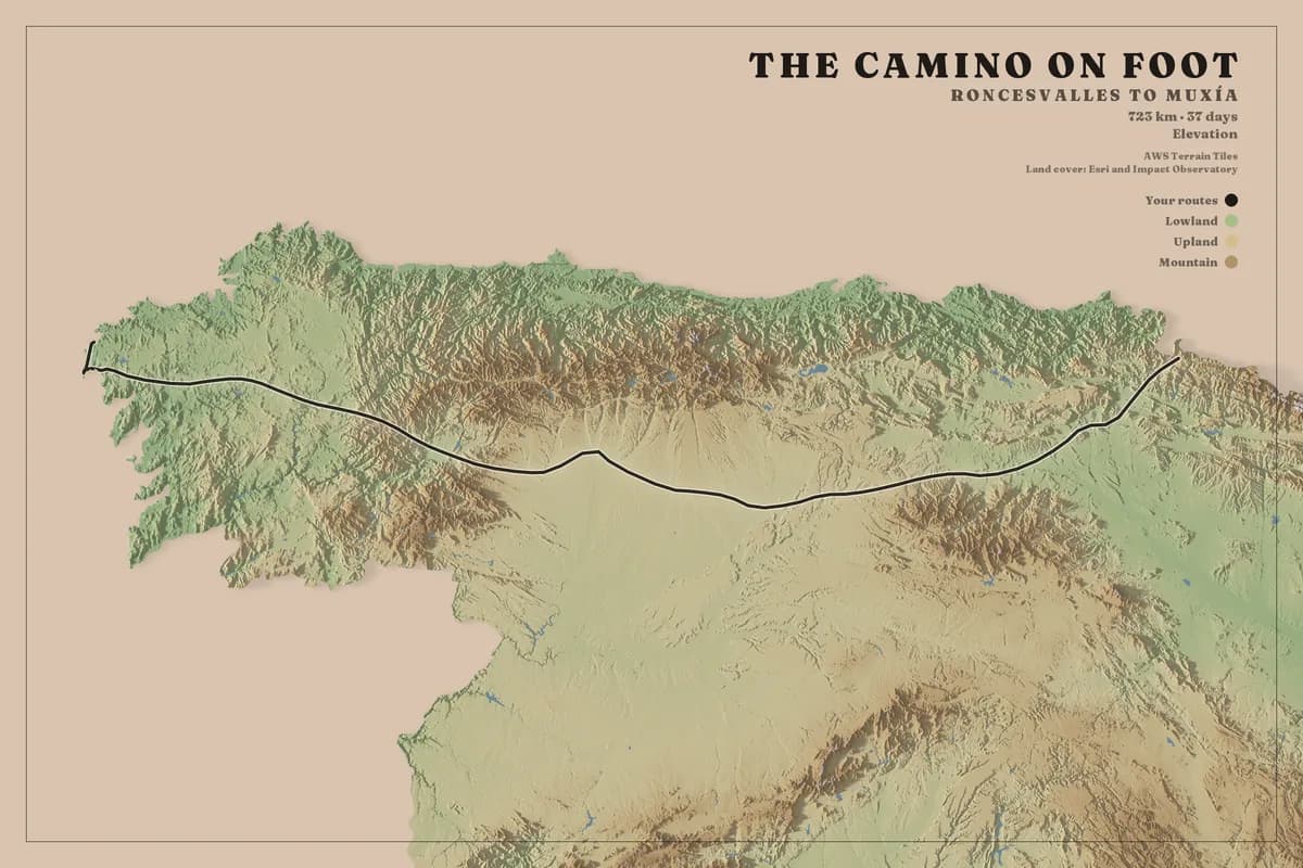 Landscape poster of northern Spain on clay paper, coloured by elevation from the green Atlantic coast through the tan Meseta, the Cantabrian mountains shaded along the top. A single black line crosses the whole sheet from the Pyrenees to the Galician coast. The title reads The Camino on foot.